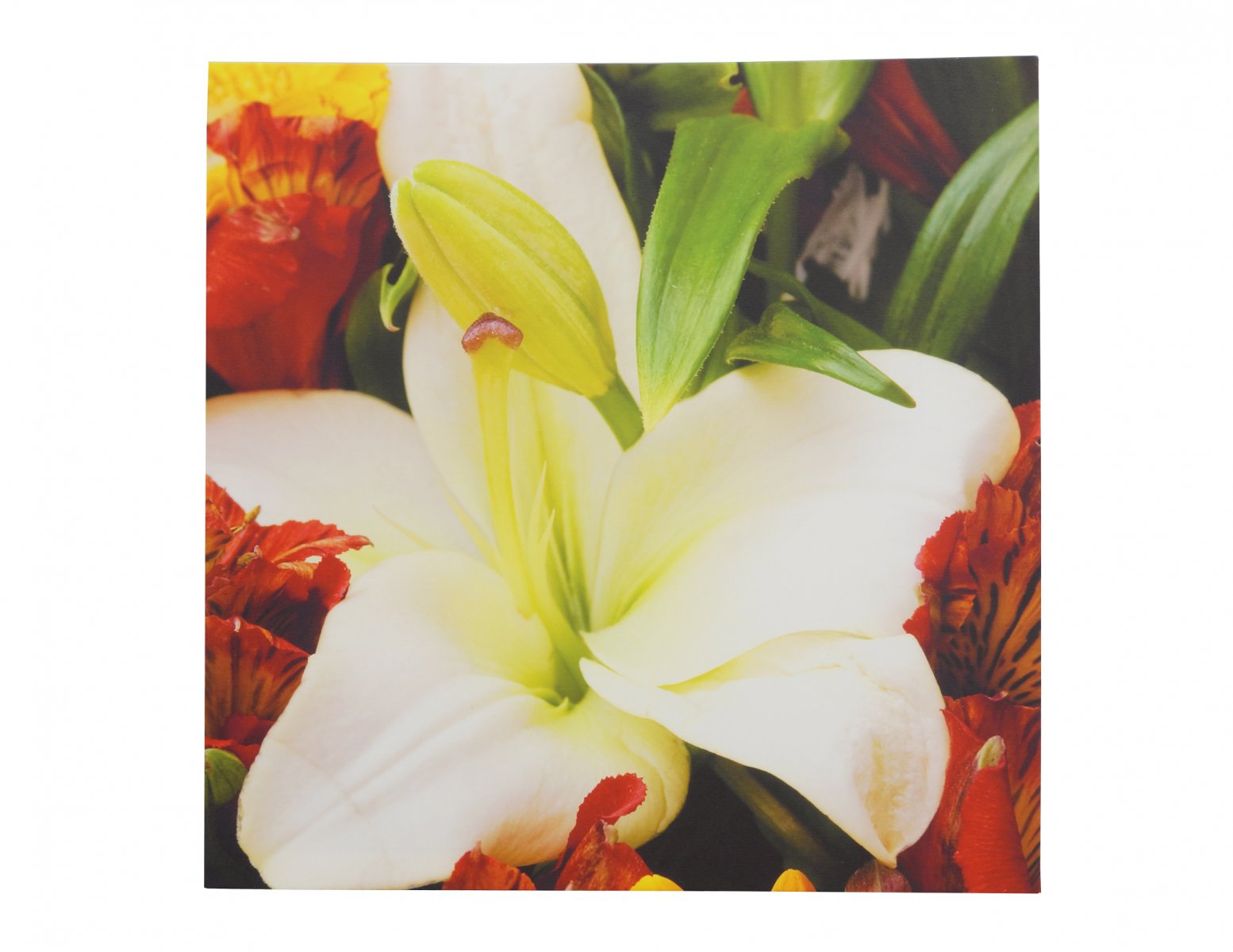 Obraz na płotnie kwiat biala lilia
